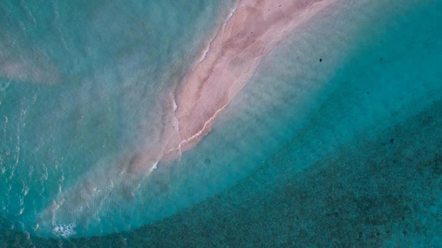 Reef Edge Thulusdhoo, Maldives-2