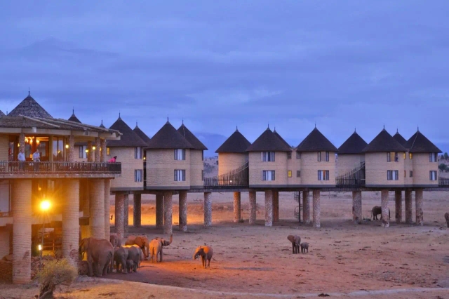 Salt Lick Safari Lodge-2