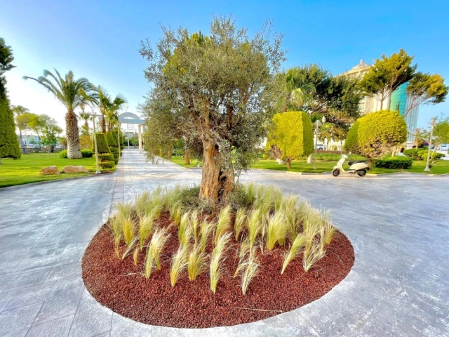 Didim Beach Resort Aqua & Elegance Thalasso Hotel-3