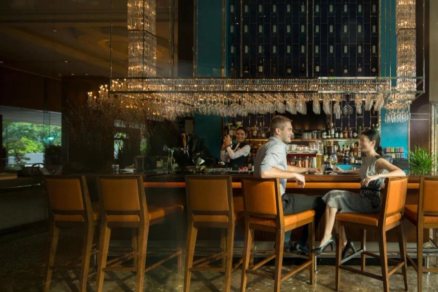 Holiday Inn Singapore Orchard City Centre-3