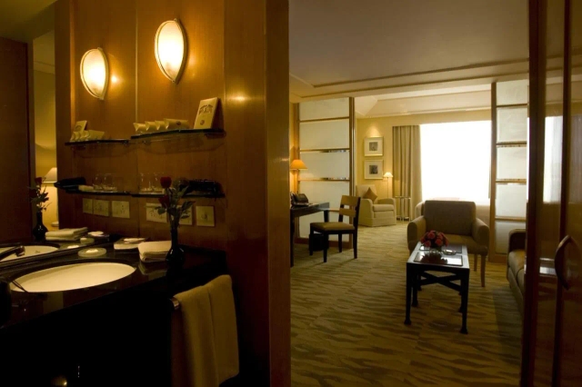 The Grand New Delhi hotel-2
