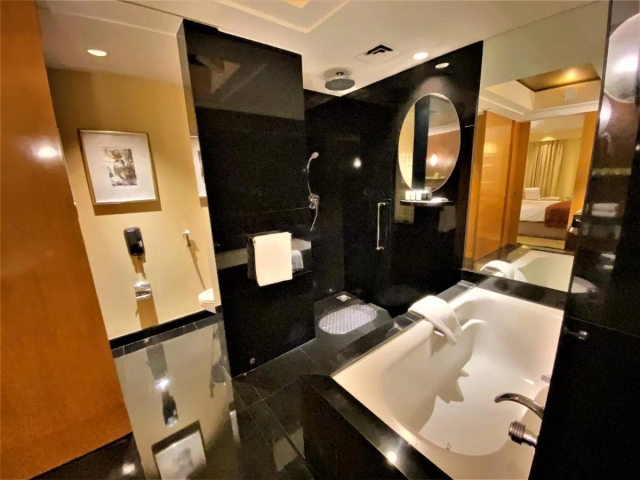 The Grand New Delhi hotel-3