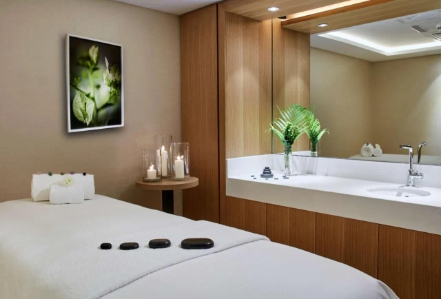 Hilton Garden Inn Dubai hotel-3