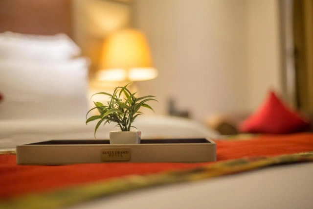 Luxus Grand Hotel-2