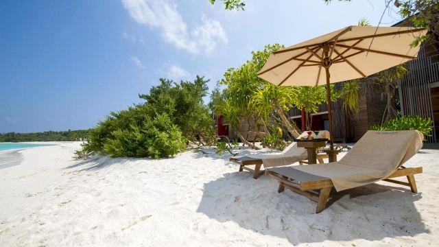 The Barefoot Eco Hotel-2