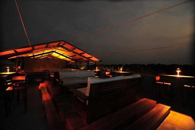 Cinnamon Wild Yala-2