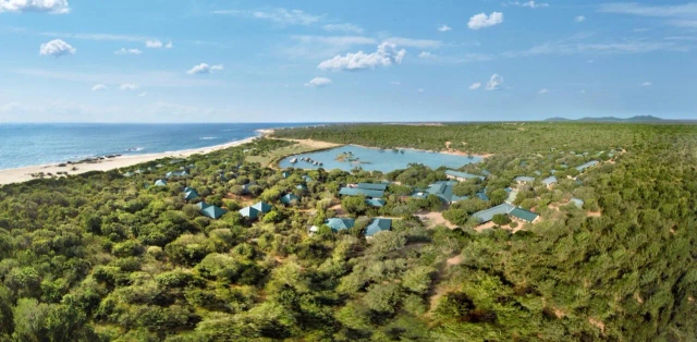 Cinnamon Wild Yala-2