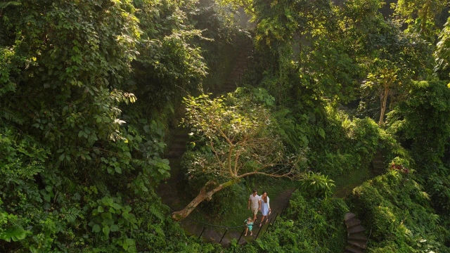 Maya Ubud Resort & Spa-2