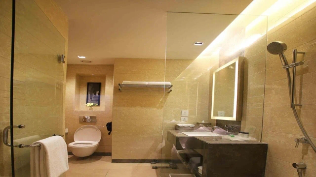 Holiday Inn Mayur Vihar Noida hotel-3