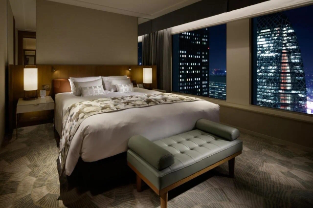 Keio Plaza Tokyo hotel-3