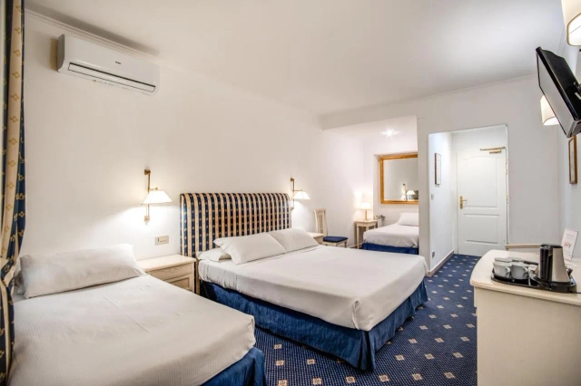 Hotel Napoleon-3
