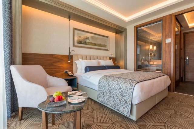 Golden Tulip Istanbul Bayrampasa-3
