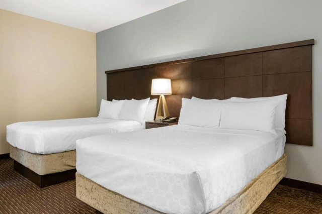 Staybridge Suites St. Petersburg-3
