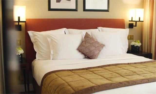 Warwick Paris hotel-2