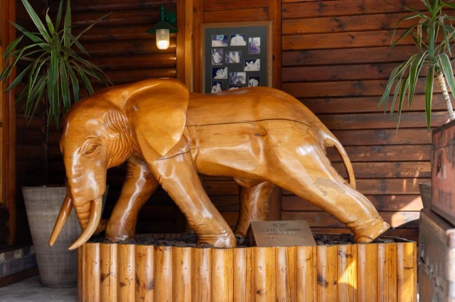 Knysna Log-Inn Hotel-2