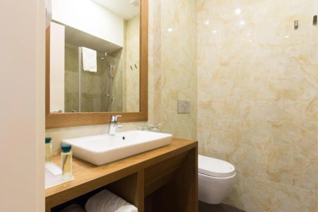 Hotel City Savoy-2