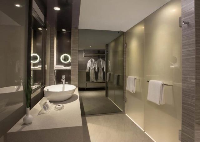 Carlton Singapore hotel-3