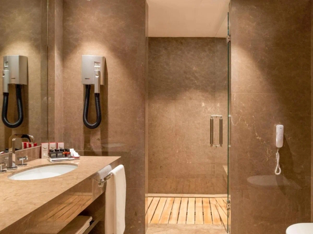 Mercure Istanbul The Plaza Bosphorus-2