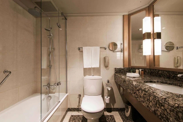 Ankara Hilton SA-2