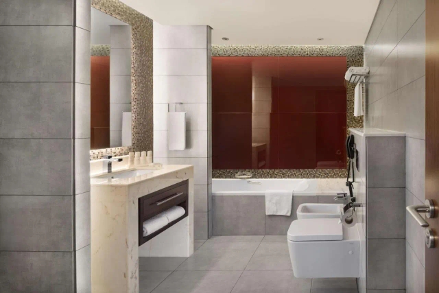 Radisson Blu Hotel Dubai Waterfront-3