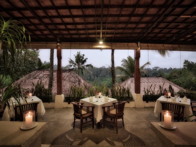 Nandini Jungle by Hanging Gardens-3