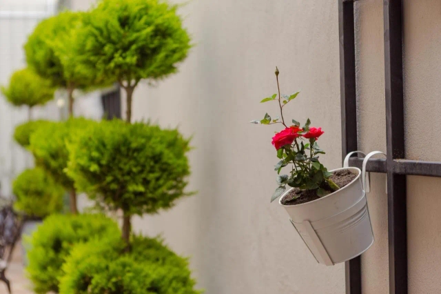 Hotel BLOOM-3