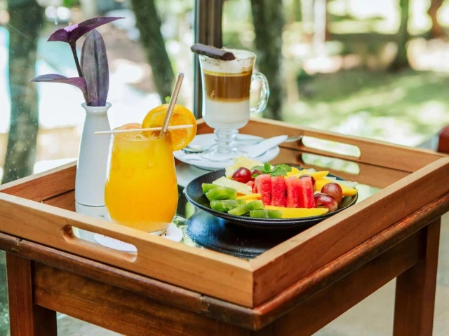 Mercure Iguazu Hotel Iru-2