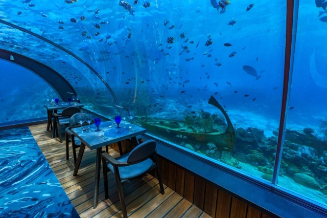 Hurawalhi Island Resort Hotel-2