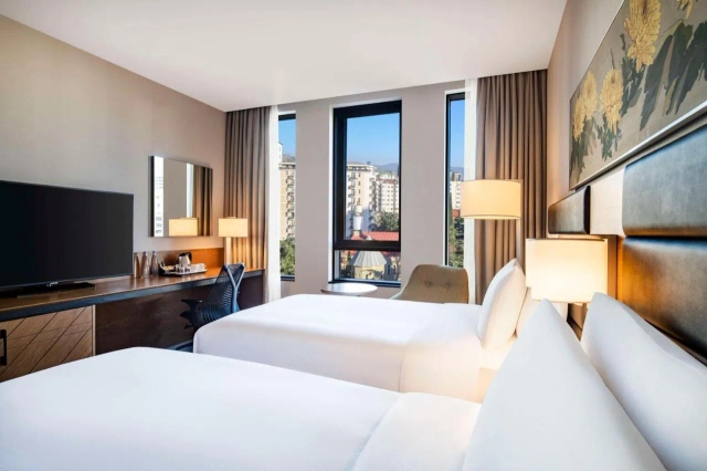 Hilton Garden Inn Tbilisi Chavchavadze-2