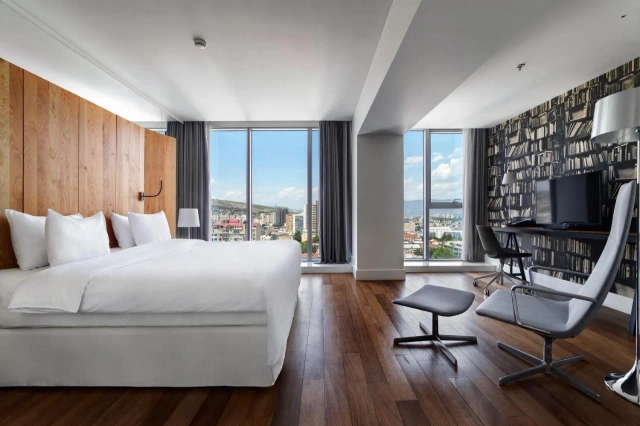 Holiday Inn - Tbilisi by IHG-3