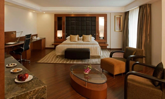 Radisson Blu Plaza Delhi Airport-2