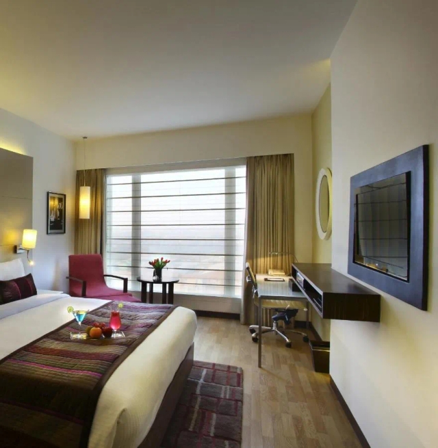 Park Plaza Shahdara hotel-3