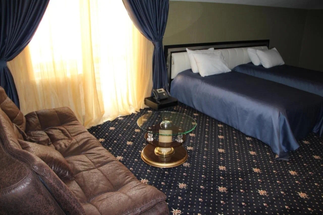 Hotel Villa Palace-2