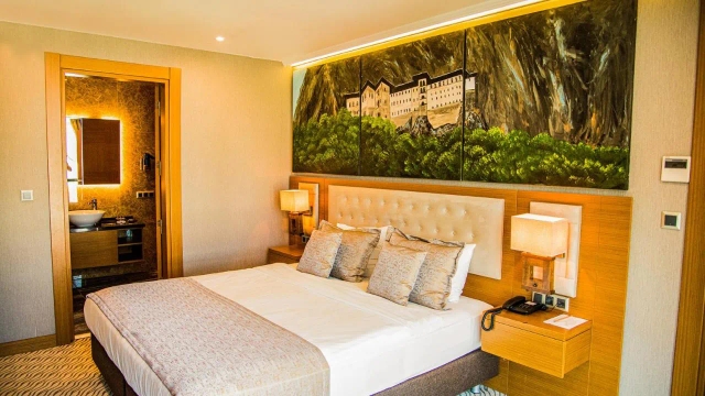 Aselia Hotel-3