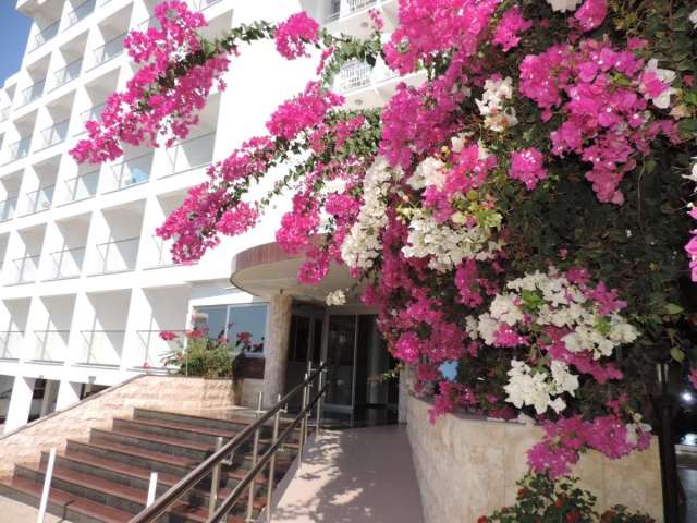 Corfu Hotel-3