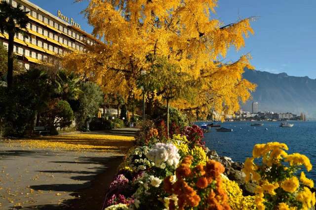 Hotel Royal Plaza Montreux-4