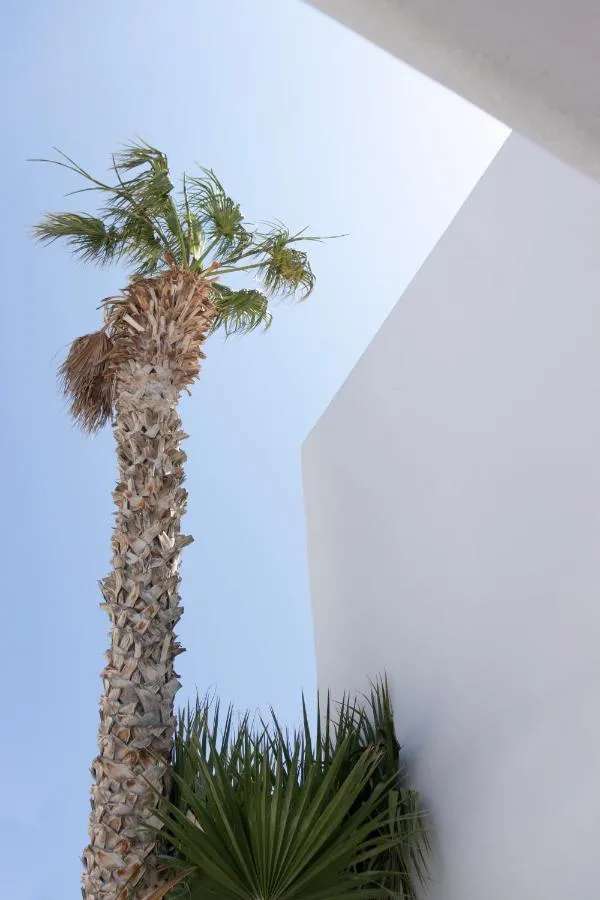 Cavo Bianco Boutique Hotel & Spa-3