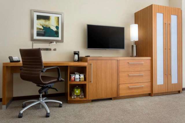 Hyatt Place Chicago/Downtown - The Loop-4