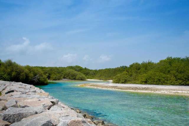 Reef Edge Thulusdhoo, Maldives-4