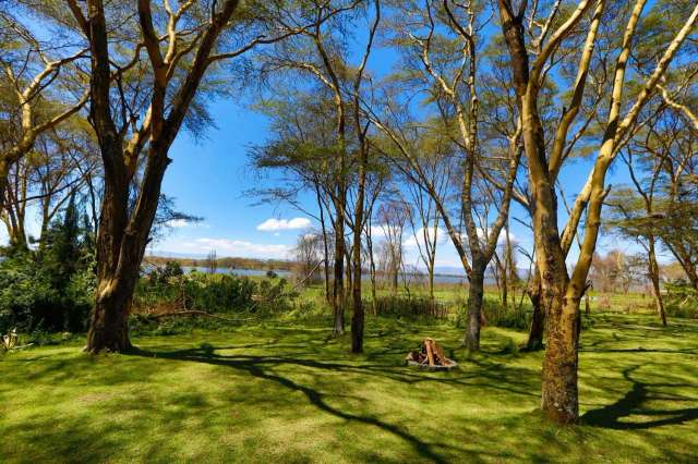 Lake Naivasha Country Club Hotel-4