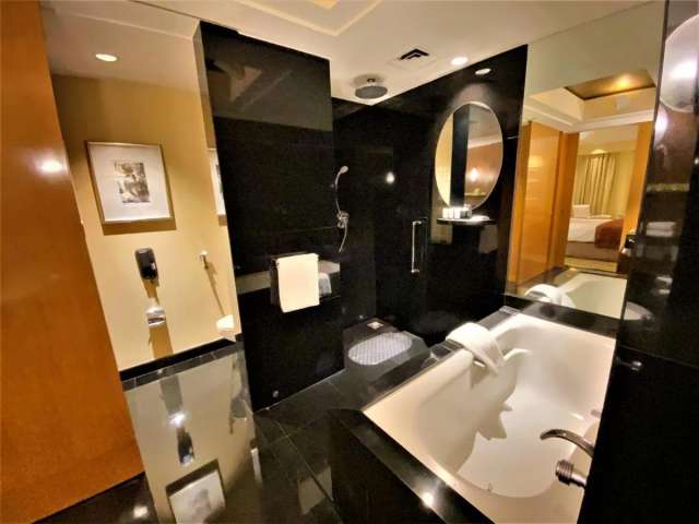 The Grand New Delhi hotel-3