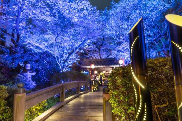 Grand Prince Hotel Shin Takanawa-4