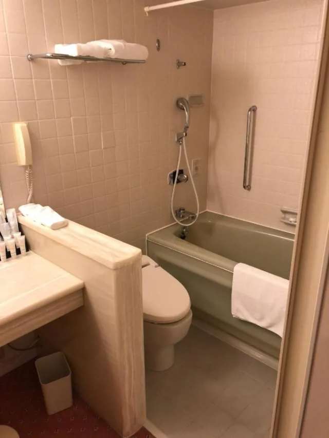 Crowne Plaza - ANA Kyoto, an IHG Hotel-3