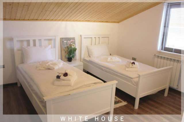 White House-4
