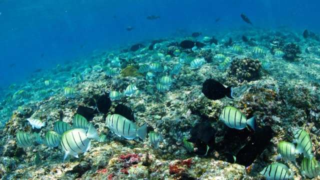 Adaaran Select Hudhuran Fushi-3