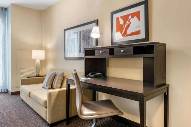 Staybridge Suites St. Petersburg-4