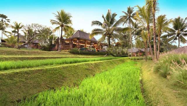 Chapung Sebali-3