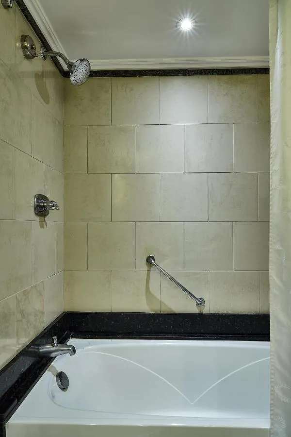 Sheraton Grand Rio Hotel & Resort-4