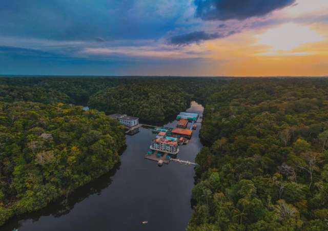Amazon Jungle Palace-4