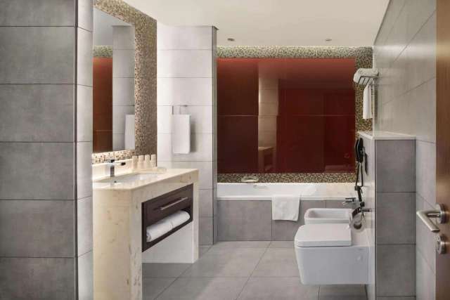 Radisson Blu Hotel Dubai Waterfront-3